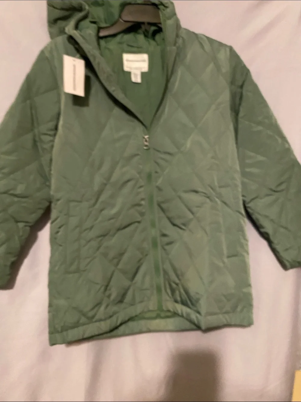 Amazon Essentials Girls' Quilted Hooded Puffer Jacket - Sage Green